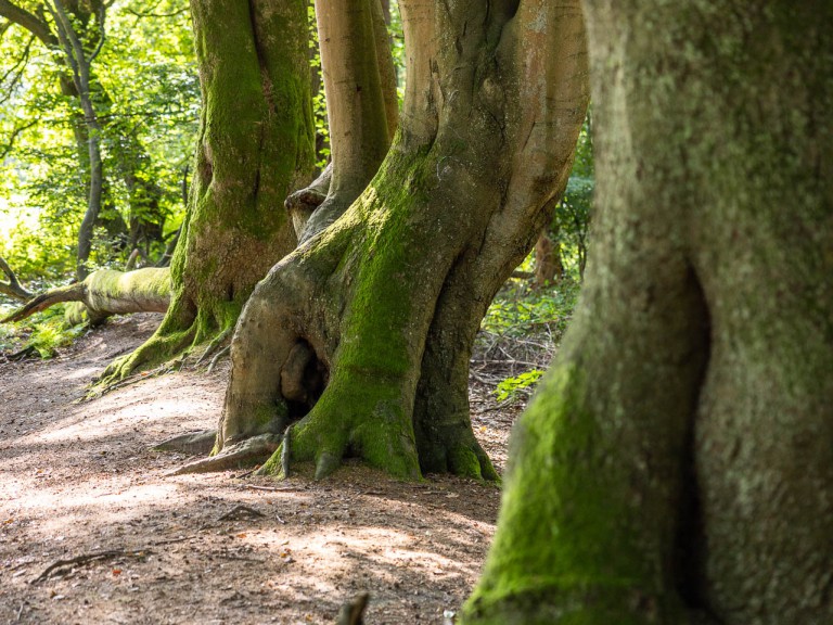 LandStreifer_Datteln_Vollmer0771