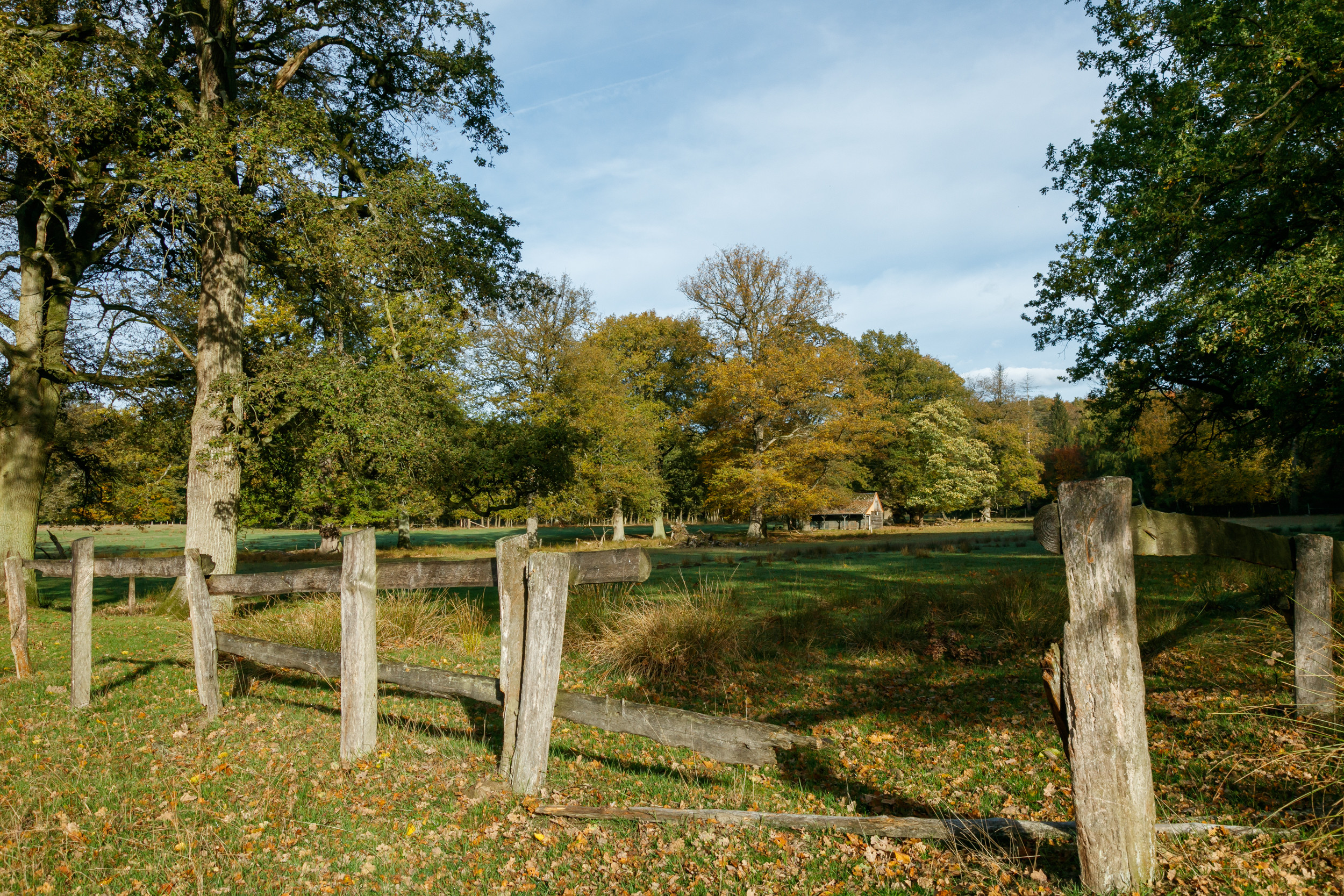 Landstreifer Dülmen_Wildpark Dülmen_©René Roeterink_11_0952