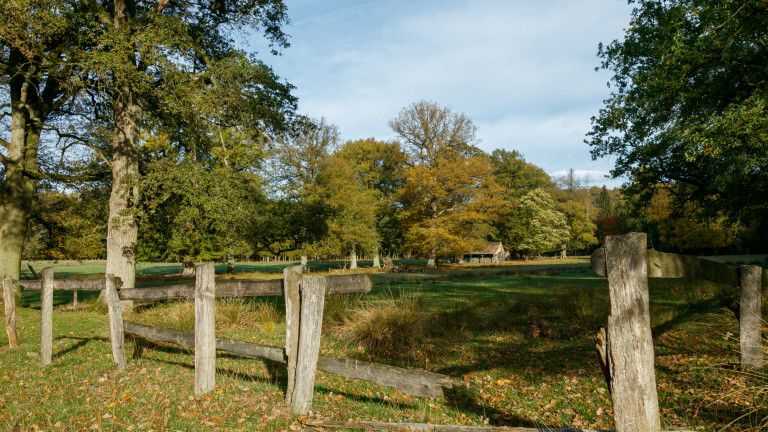 Landstreifer Dülmen_Wildpark Dülmen_©René Roeterink_11_0952