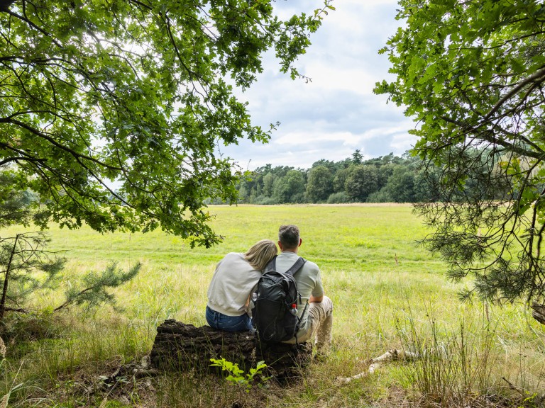 LandStreifer_Datteln_Vollmer5129